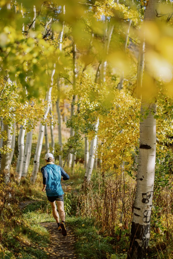 Snowmass In Brief: Tree-O returns; Brush Creek Trail temporary closure - Vimarsana News